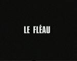 fleau.jpg (53995 octets)