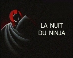 Nuit_Ninja.jpg (71148 octets)