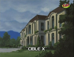 46_Cible_X.jpg (72048 octets)