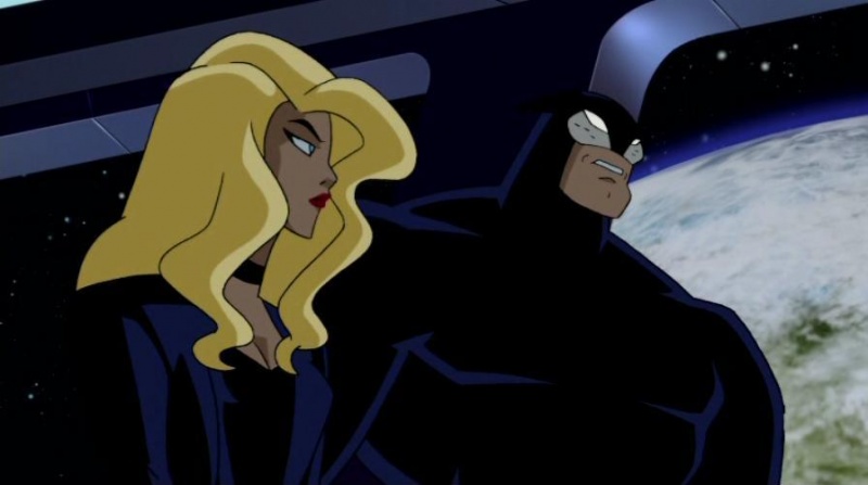 Image:Black Canary - Wildcat.jpg
