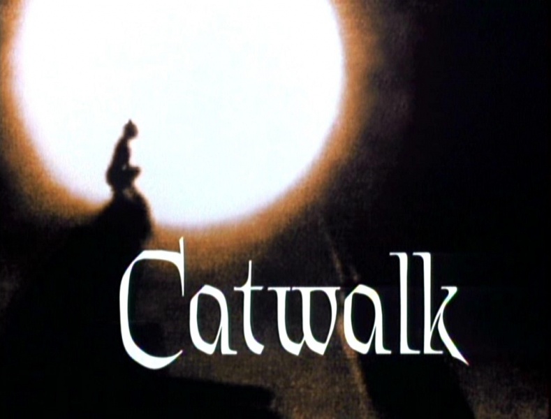 Image:ET Catwalk.jpg